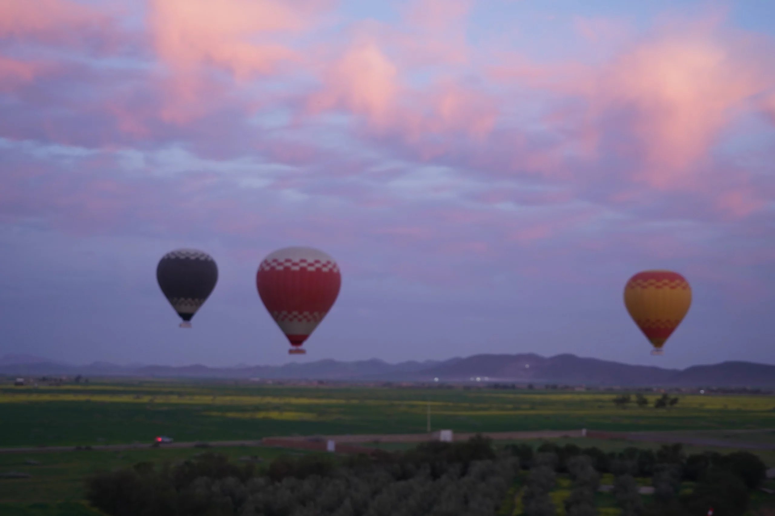 Three balloons at dawn over fields outside Marrakech