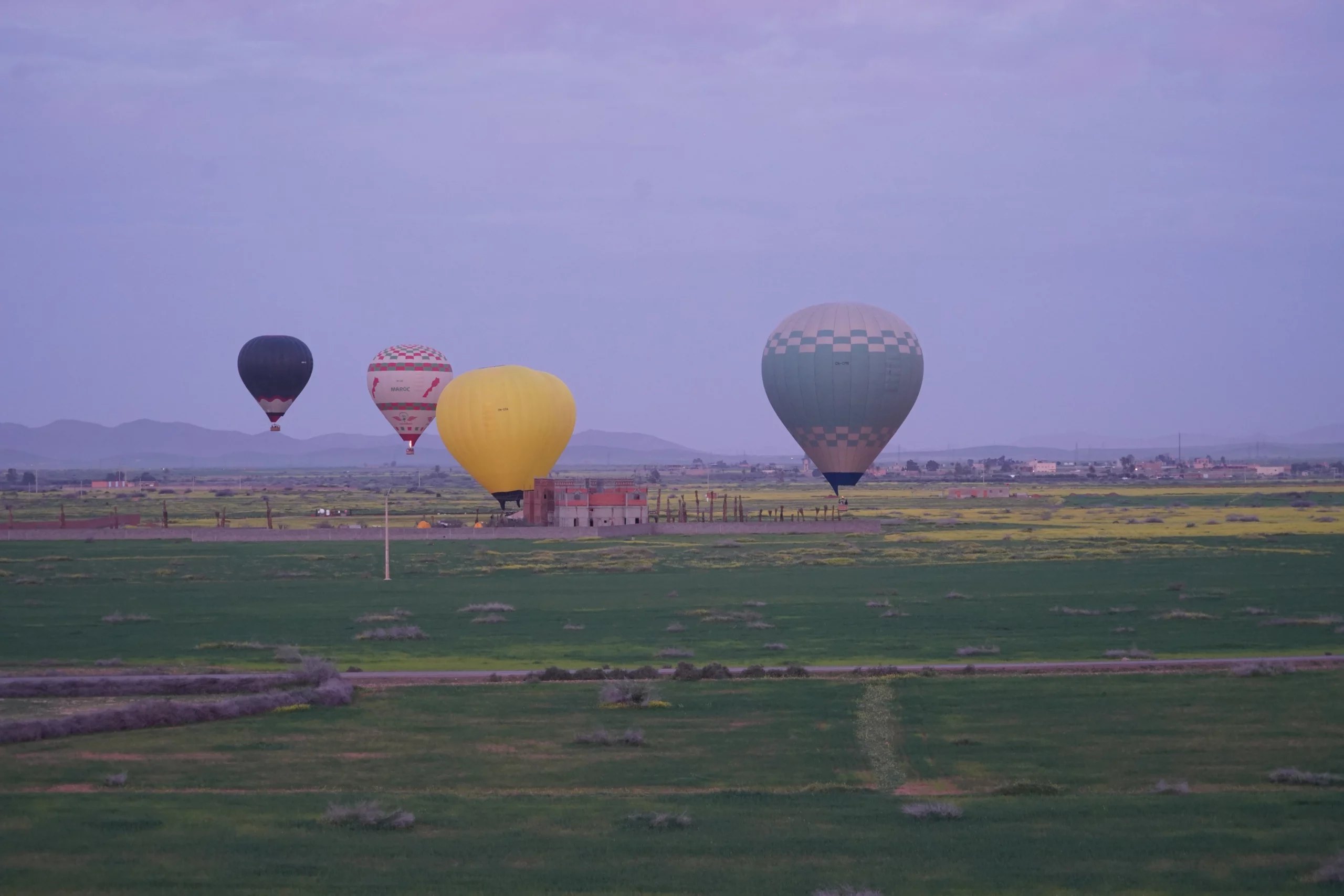 Four balloons over green fields at first light